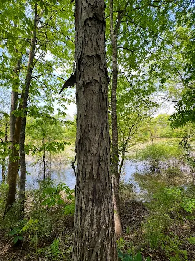 Questions to Consider when Buying Land