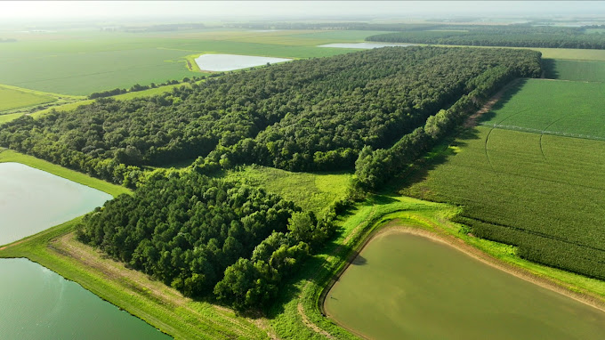 Drone footage of land which can maximize your land exposure