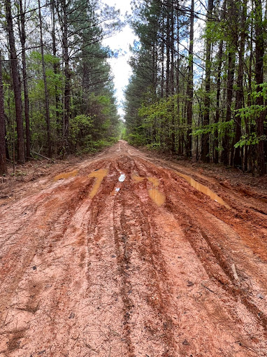 Muddy access road after a rain storm.